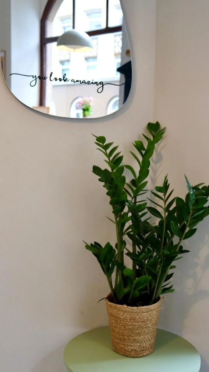 Spiegel und Pflanze im Café Hilda Mainz